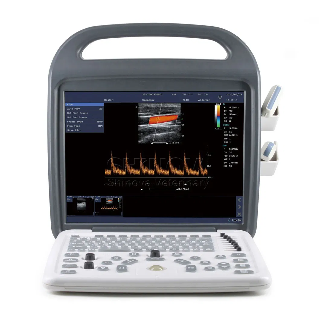 Veterinary Color Doppler System for Animal (DopScan 10V)