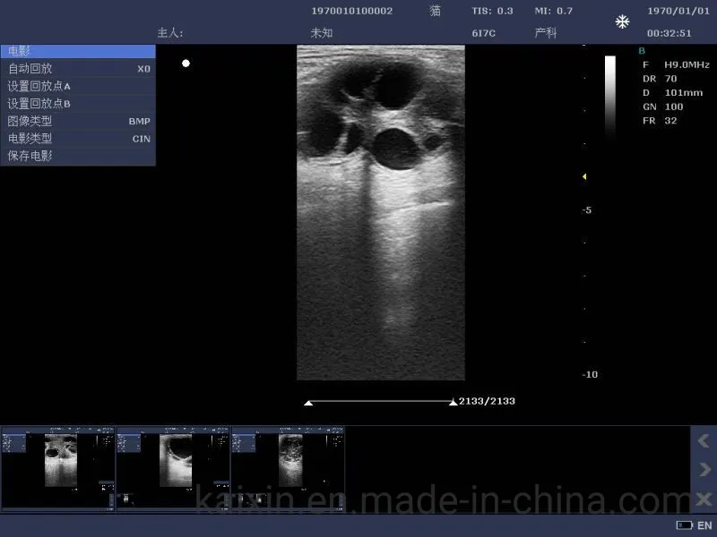 Veterinary Color Doppler Ultrasound Scanner for Pet Clinics