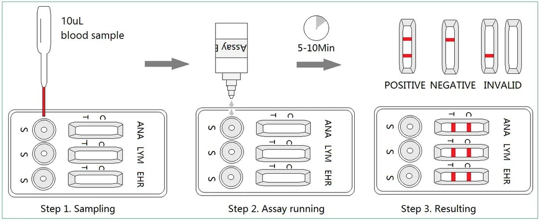 Veterinary Diagnosis Rapid Test Ana Lyme Ehr The Anaplasma Lyme Ehrlichia Antibody Combo Rapid Test