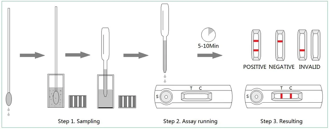 Veterinary Diagnosis Rapid Test Cav Canine Adenovirus Antigen