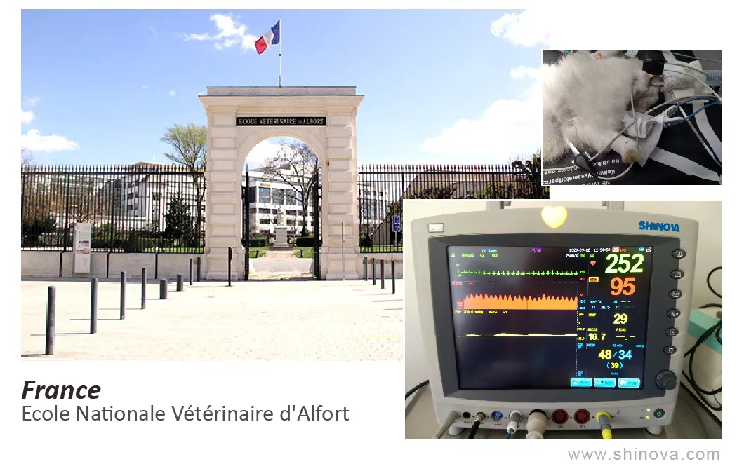 Veterinary Medical Equipment Veterinary Digital X-ray (DR) Dr-160V