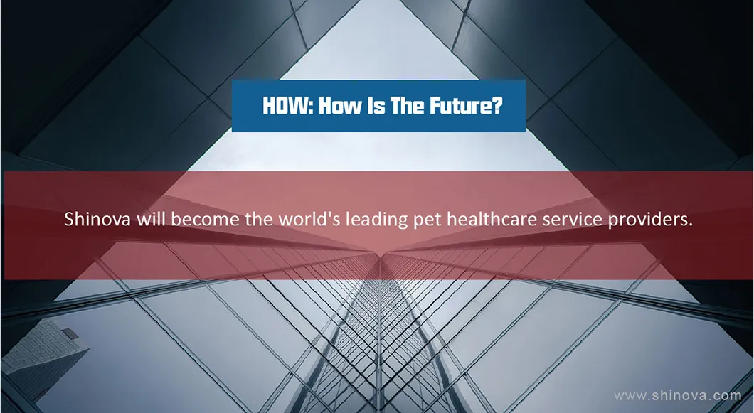 Veterinary Medical Equipment Veterinary Digital X-ray (DR) Dr-320