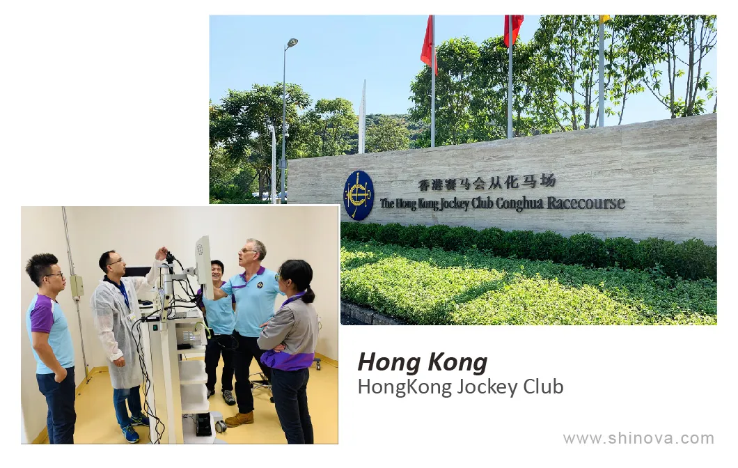 Veterinary Medical Equipment Veterinary Digital X-ray (DR) Dr-320