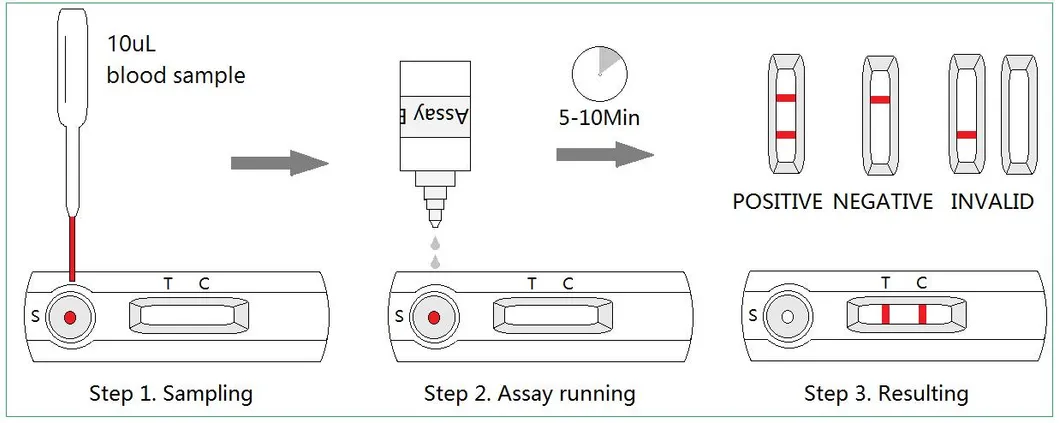 Veterinary Rapid Test Kit Canine Anaplasma Lyme Ehrlichia Antibody Diagnostic Device Ehr Ana Lyme