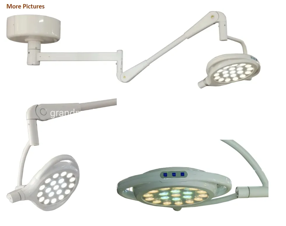 Whosale Hospital Examination Lamp Veterinary Equipment Ceiling Mounted Operating Light Medical Examination Lamp LED Mobile Surgical Light Manufacture