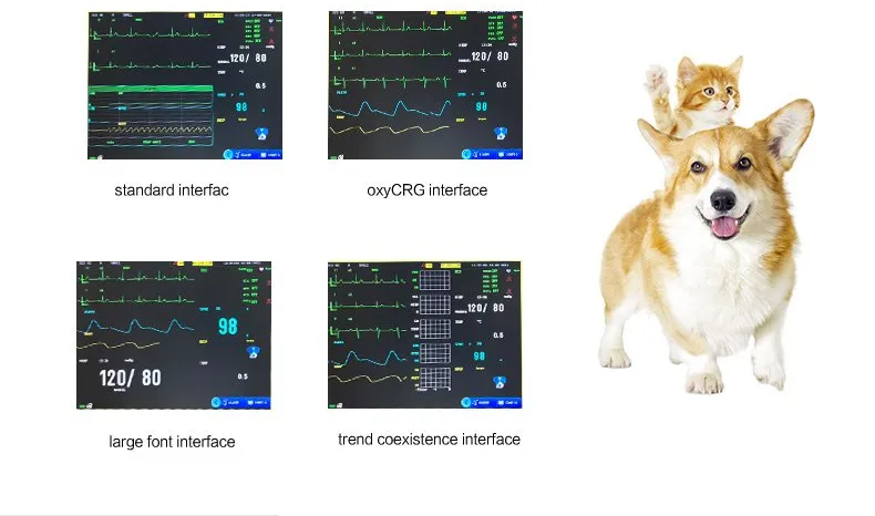 Yonker 12 Inch Multi-Parameter Veterinary Vital Signs Monitor for Pets Clinics and Vet Hosptials with Touch Monitor