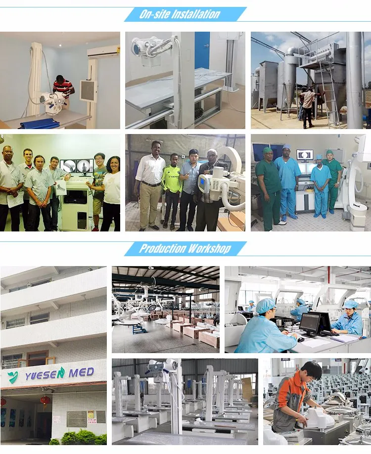 Ysdbp310V Portable Veterinary Doppler Blood Pressure Monitor