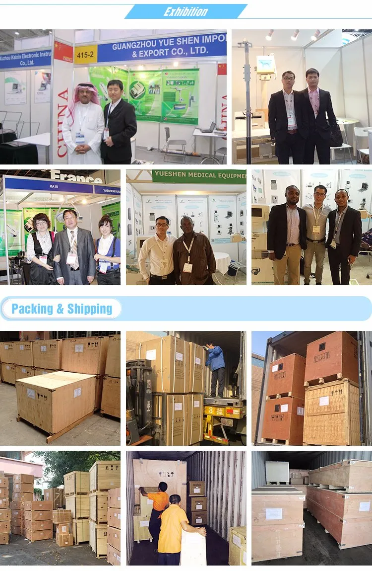 Ysdbp310V Portable Veterinary Doppler Blood Pressure Monitor